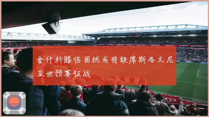 舍什科膝伤困扰或将缺席斯洛文尼亚世预赛征战